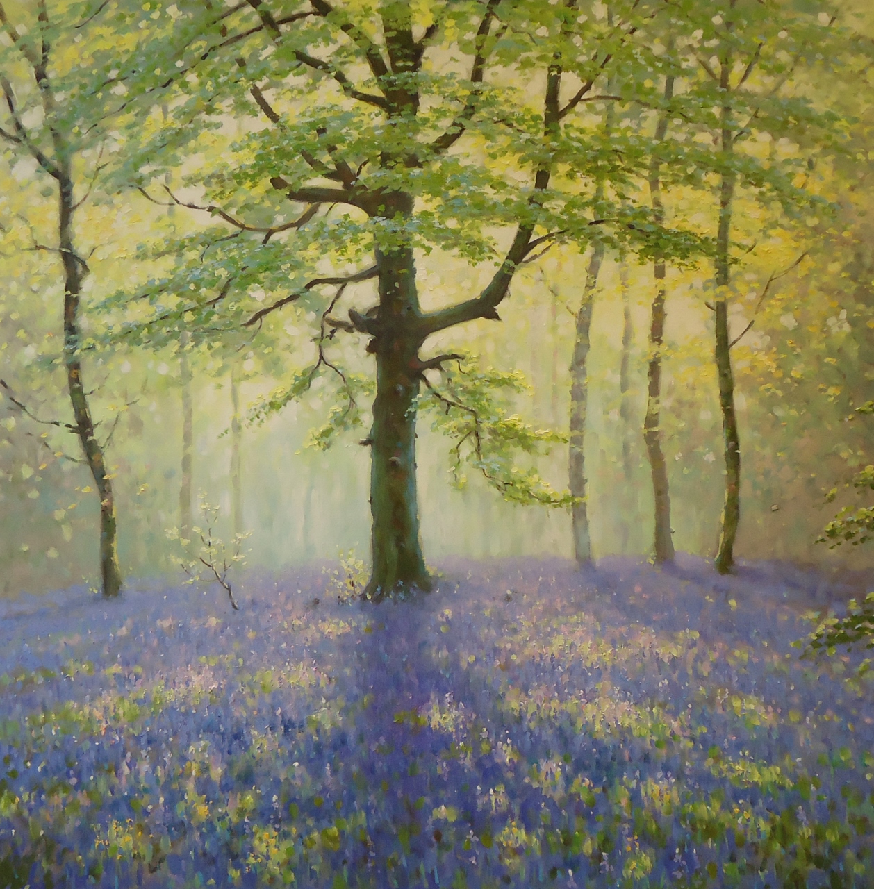 Image result for bluebell wood